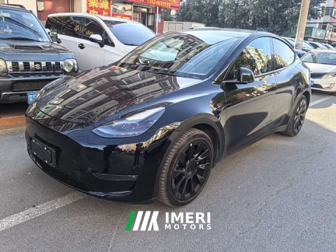 2021 Tesla Model Y Standard Range RWD - ავტომობილი ჩინეთიდან