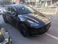 Tesla Model Y Standard Range RWD - photo 3