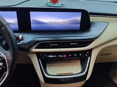 Buick GL8 New Energy Lusang Respect Edition - фото 13