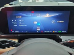 Buick GL8 New Energy Lusang Respect Edition - фото 14