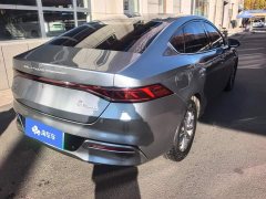 BYD Qin PLUS Champion Edition DM-i 55KM Leading - photo 3