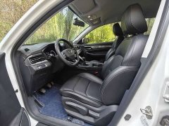 Geely Emgrand X6 PRO 1.4T Manual Luxury - photo 10