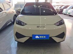 BYD Seagull Smart Drive 305km Vitality Edition - фото 2