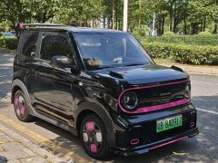 Geely Panda 210km Panda Kart - ფოტო 2
