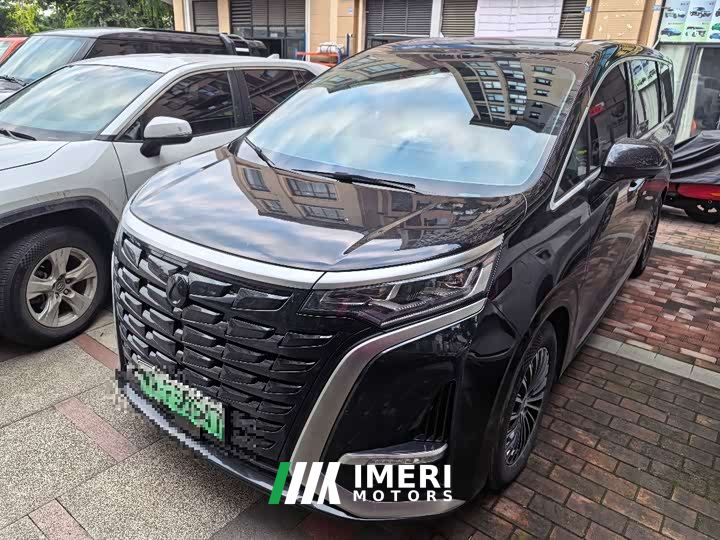 Denza D9 DM-i 965 Premium Edition