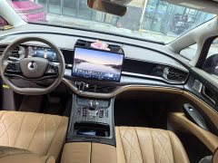 Denza D9 DM-i 965 Premium Edition - фото 7