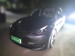 Tesla Model Y Rear-Wheel Drive - ფოტო 1