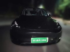 Tesla Model Y Rear-Wheel Drive - ფოტო 2