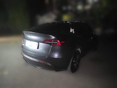 Tesla Model Y Rear-Wheel Drive - ფოტო 4