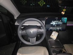 Tesla Model Y Rear-Wheel Drive - ფოტო 6