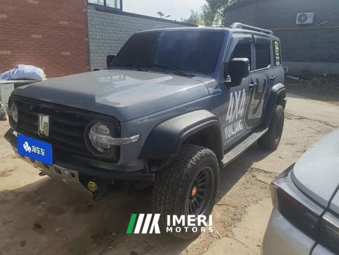 2021 Tank 300 Off-Road Edition 2.0T Challenger - ავტომობილი ჩინეთიდან