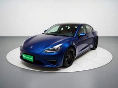 Tesla Model 3 Rear-Wheel Drive - ფოტო 1