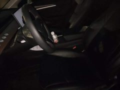 Tesla Model 3 Rear-Wheel Drive - ფოტო 11