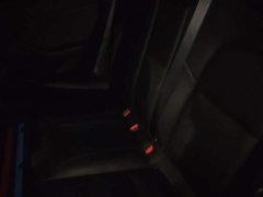 Tesla Model 3 Rear-Wheel Drive - ფოტო 13