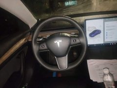 Tesla Model 3 Rear-Wheel Drive - ფოტო 6