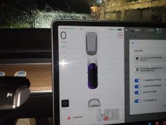 Tesla Model 3 Rear-Wheel Drive - ფოტო 7