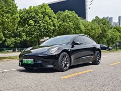Tesla Model 3 Rear-Wheel Drive - photo 1