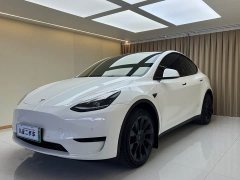 Tesla Model Y Rear-Wheel Drive - фото 1