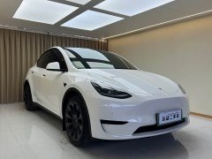 Tesla Model Y Rear-Wheel Drive - фото 8