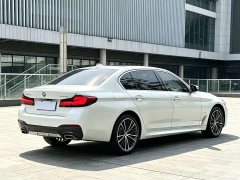 BMW 5 Series 530Li Premier M Sport Package - ფოტო 10