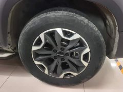 Great Wall Dachshund 2.0T DCT Four-Wheel Drive Chinese Rural Dog Edition - фото 6