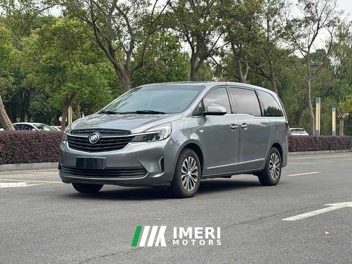 Buick GL8 Land Business Class 652T Luxury - car from China