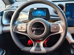 BYD Dolphin 420km Freedom Edition - ფოტო 18