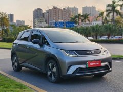 BYD Dolphin 420km Freedom Edition - ფოტო 2