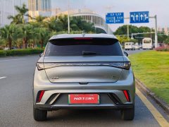 BYD Dolphin 420km Freedom Edition - ფოტო 5