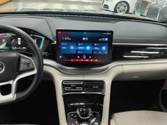 BYD Song Plus New Energy EV Premium - фото 13