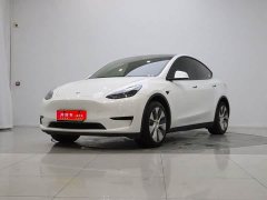 Tesla Model Y Rear-Wheel Drive - фото 1