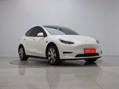 Tesla Model Y Rear-Wheel Drive - фото 3