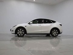 Tesla Model Y Rear-Wheel Drive - фото 8