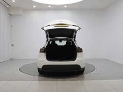 Tesla Model Y Rear-Wheel Drive - фото 9