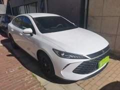 BYD Qin PLUS DM-i Smart Drive Edition 55KM Leading - ფოტო 3