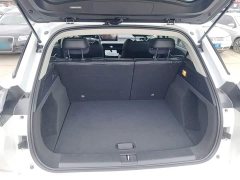 Neta U Nezha U-II Challenge Edition 500 UXiu Lithium iron phosphate - photo 18