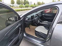 BYD Destroyer 05 Glory Edition DM-i 55KM Luxury - photo 15