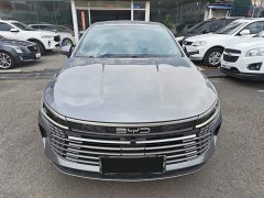 BYD Destroyer 05 Glory Edition DM-i 55KM Luxury - photo 2