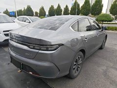BYD Destroyer 05 Glory Edition DM-i 55KM Luxury - photo 6