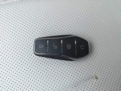 BYD Destroyer 05 Glory Edition DM-i 55KM Luxury - photo 8