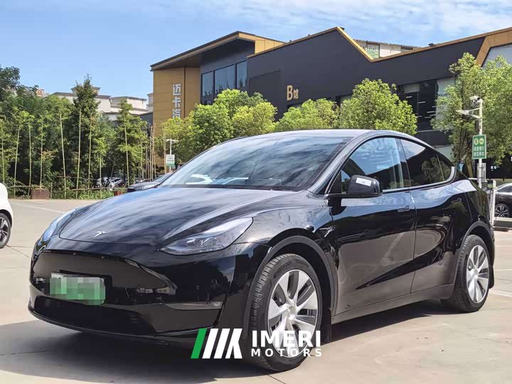 Tesla Model Y Long Range All-Wheel Drive - car from China