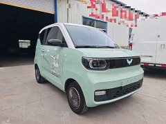 Wuling Hongguang MINIEV Macaron Fashion Edition LFP Battery - photo 3