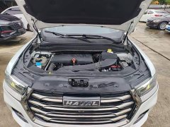 Haval H6 National Trend 1.5GDIT Automatic Champion Edition - ფოტო 19