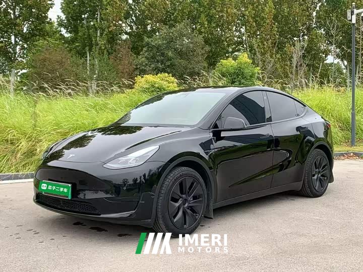 Tesla Model Y Rear-Wheel Drive - ავტომობილი ჩინეთიდან