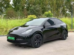 Tesla Model Y Rear-Wheel Drive - ფოტო 1