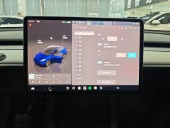 Tesla Model Y Rear-Wheel Drive - ფოტო 12