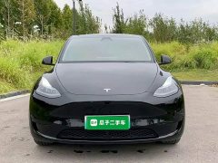 Tesla Model Y Rear-Wheel Drive - ფოტო 2