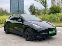 Tesla Model Y Rear-Wheel Drive - ფოტო 3