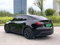 Tesla Model Y Rear-Wheel Drive - ფოტო 4