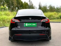 Tesla Model Y Rear-Wheel Drive - ფოტო 5